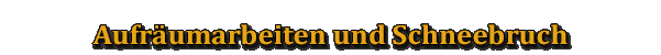 Aufräumarbeiten und Schneebruch