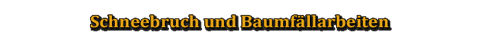 Schneebruch und Baumfällarbeiten